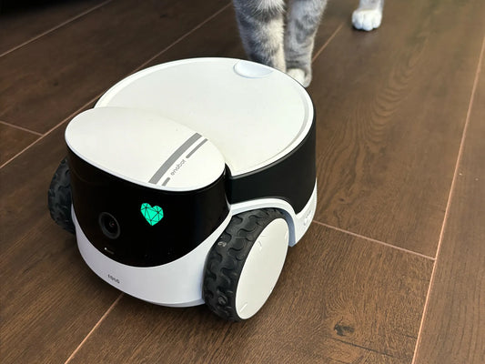 The Best Pet Cameras