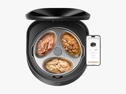 The Best Automatic Cat Feeders