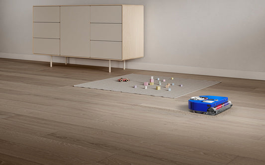 Best robot vacuums in 2024