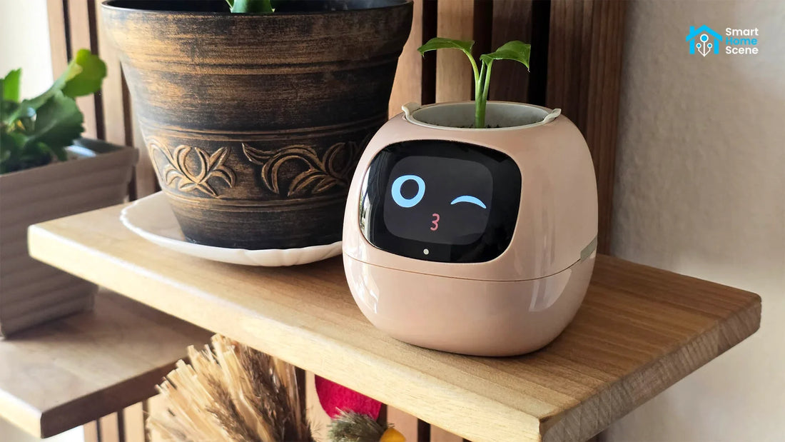 Ivy Smart Planter Review: The Ultimate WAF Booster Device