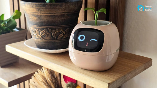 Ivy Smart Planter Review: The Ultimate WAF Booster Device
