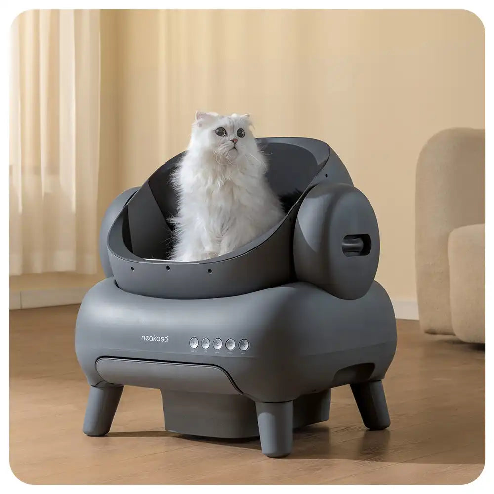 Smart Dog Cat
