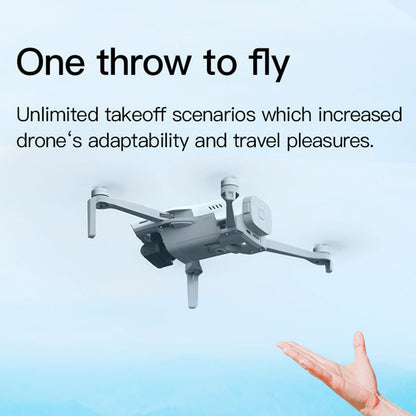 Walkera T210 Mini RC Drone 2KM FPV GPS 3-Axis Gimbal 4K HD Camera Basic Version Quadcopter