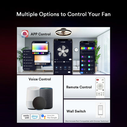 Lumary Smart Ceiling Fans with Lights Black