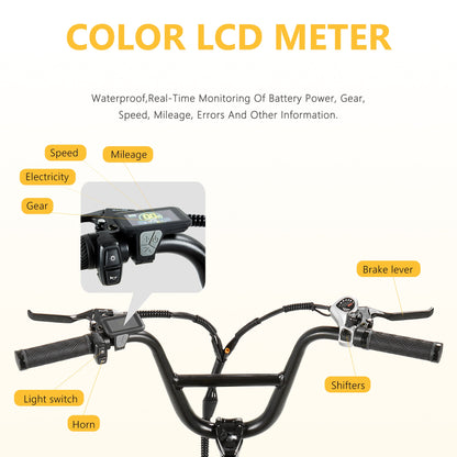 CEAYA Electric Bike R8SE