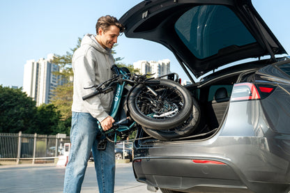 DYU C9 20 Inch Long-Range ebike