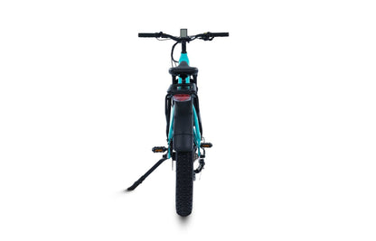 Terra All-Terrain Fat Tire eBike