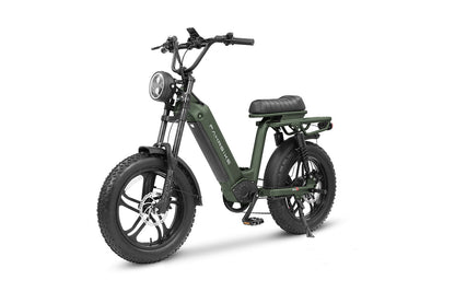 Roadster73 Plus Moped-Style eBike