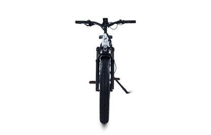Terra All-Terrain Fat Tire eBike
