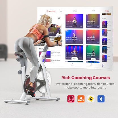 YESOUL S3 Indoor Exercise Bike
