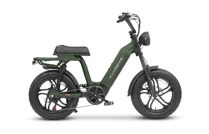 Roadster73 Plus Moped-Style eBike