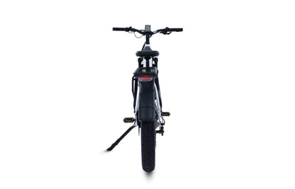 Terra All-Terrain Fat Tire eBike