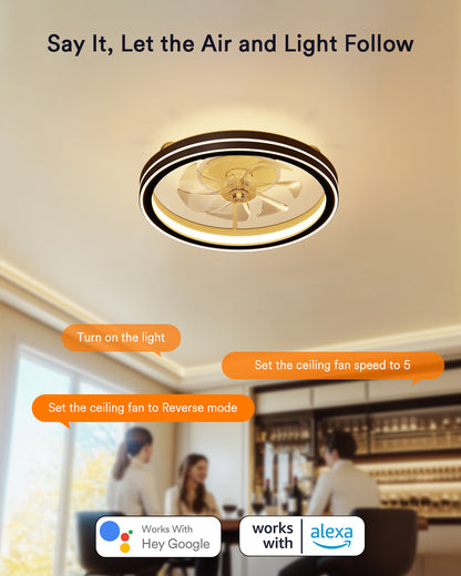 Lumary Smart LED  Fan with Night Light