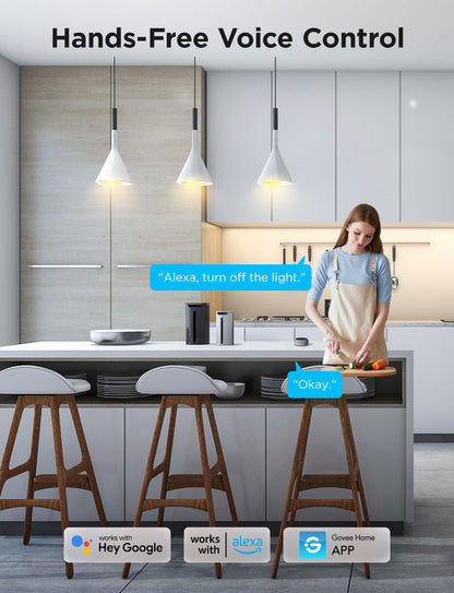 Refurbished Govee Smart Plug Pro