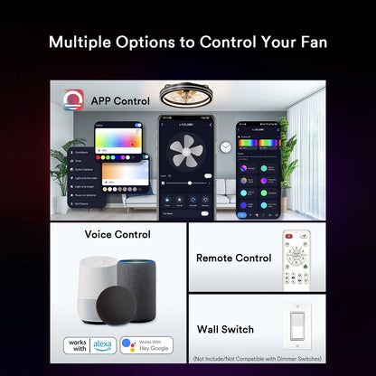 Lumary Smart LED  Fan with Night Light Black