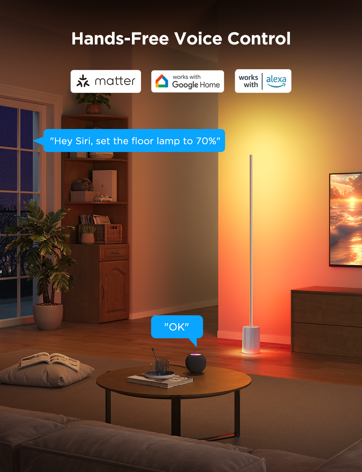 Govee Floor Lamp 2