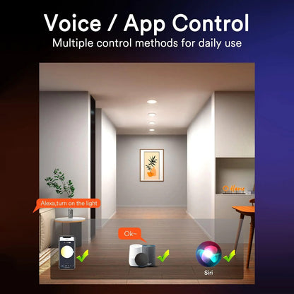 Lumary Wi-Fi Smart Canless Recessed Lighting 4 inch
