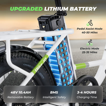 isinwheel U7 500W Cargo Bike