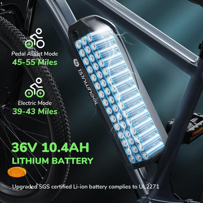 isinwheel M10 500W Electric Commuter Bike- VIP Member Only