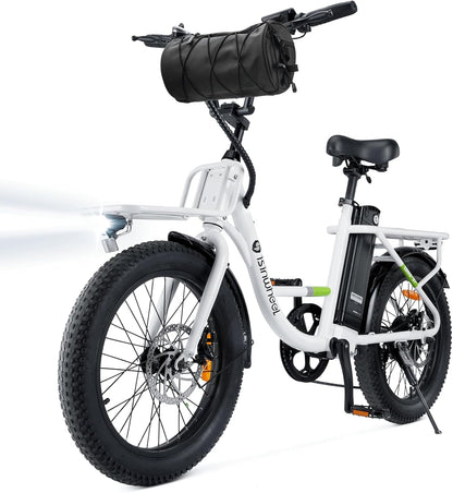 Handlebar Cylinder Bag for Ebike