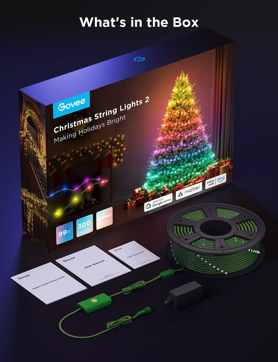 Govee Christmas String Lights 2