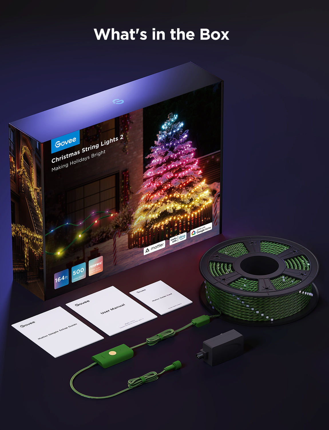 Govee Christmas String Lights 2