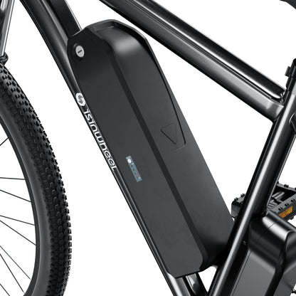 isinwheel M10 Electric Commuter Bike