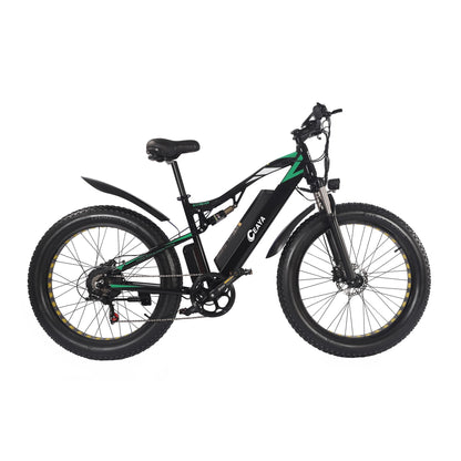 CEAYA Electric Bike WL01