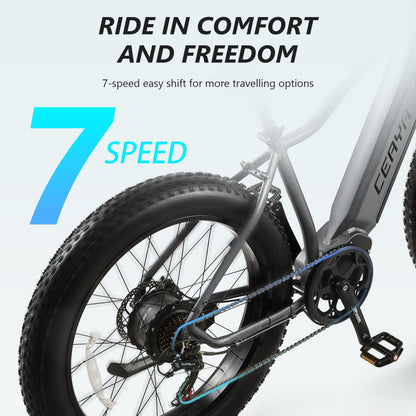 CEAYA Electric Bike RX50