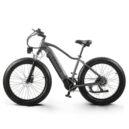 CEAYA Electric Bike RX50