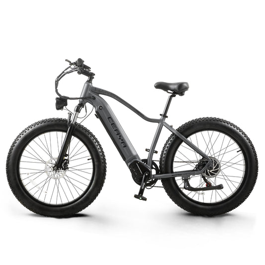 CEAYA Electric Bike RX50