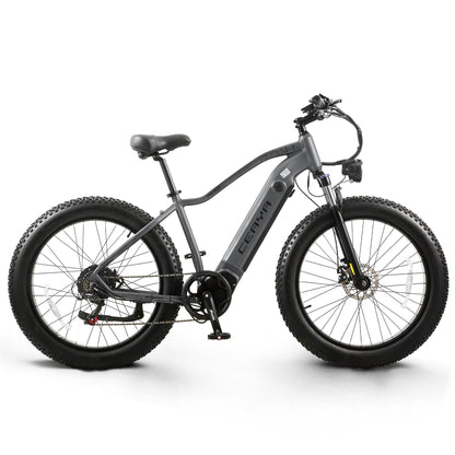 CEAYA Electric Bike RX50