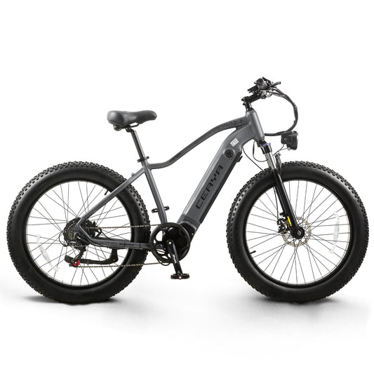 CEAYA Electric Bike RX50