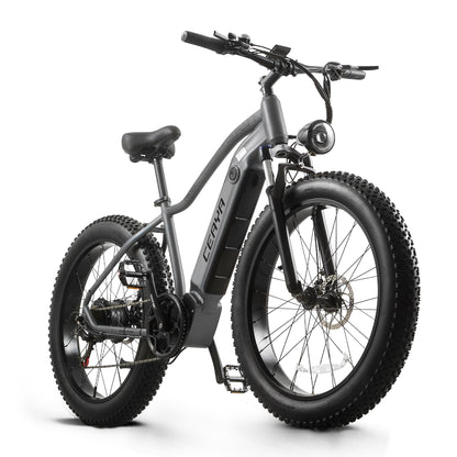 CEAYA Electric Bike RX50