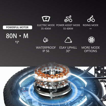 CEAYA Electric Bike R8S