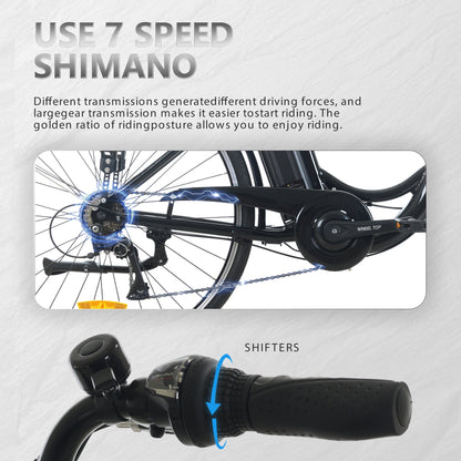 CEAYA+ Series Electric Bike RC820