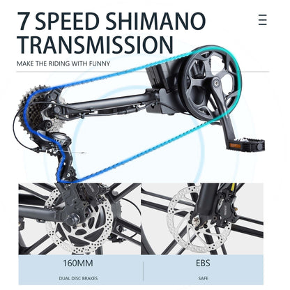 CEAYA Electric Bike R8S PRO