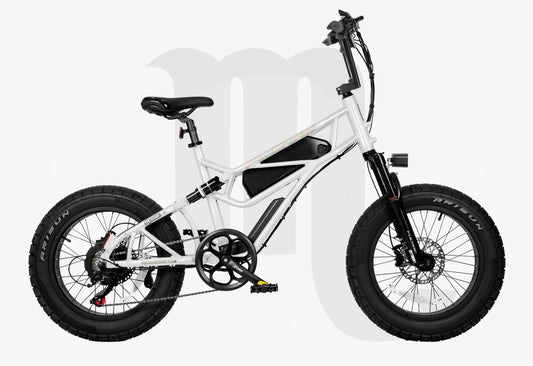 Fucare Scorpio Fat Tire Off-Road Electric Bike