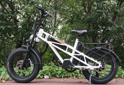 Fucare Gemini X Sport Dual Motor Dual Battery Ebike