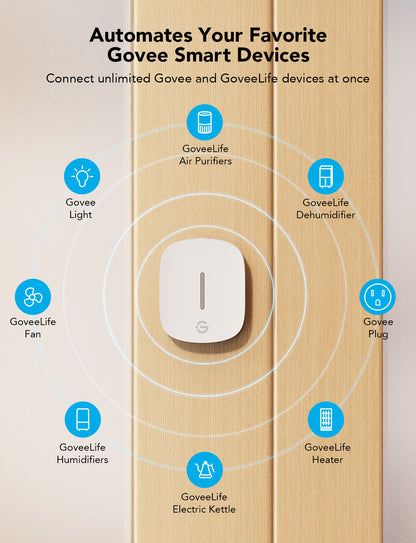 GoveeLife Wireless Mini Vibration Sensor