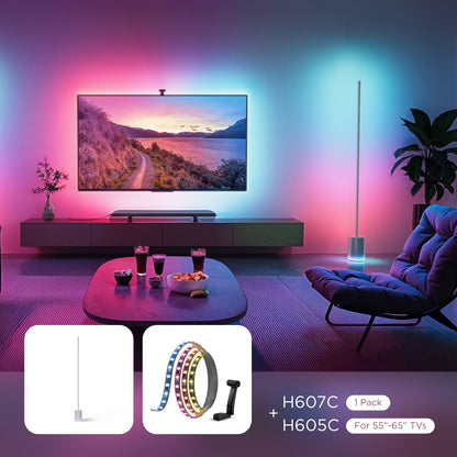Govee Floor Lamp 2