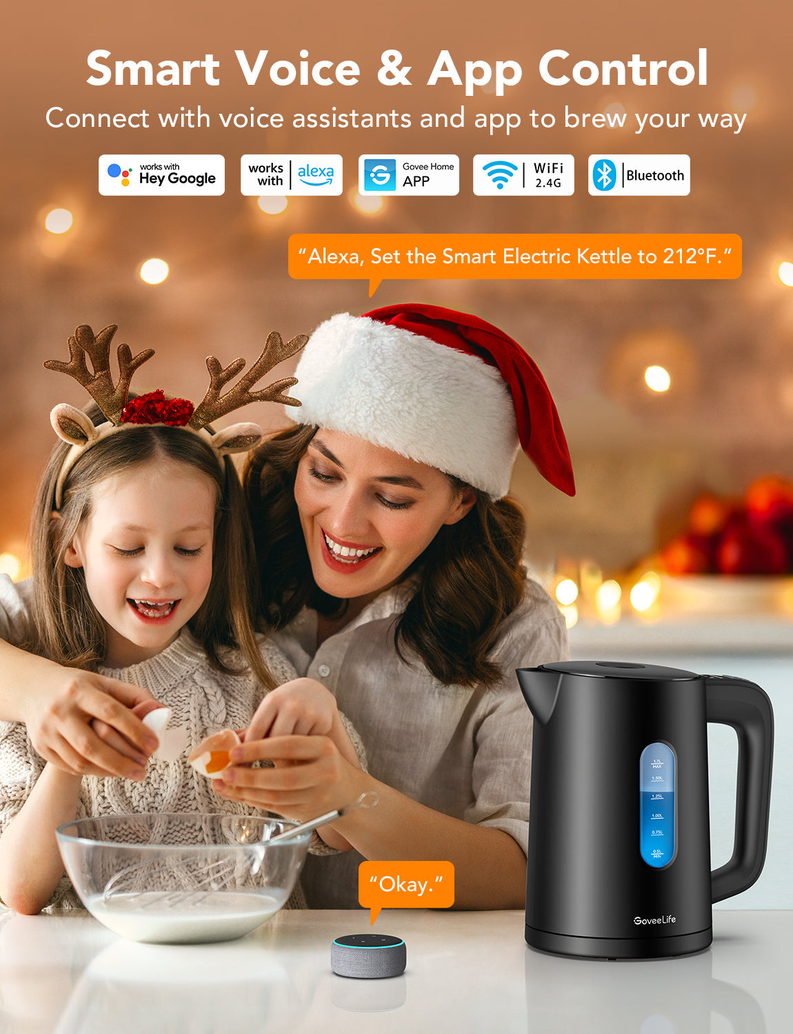 GoveeLife Smart Electric Kettle Lite