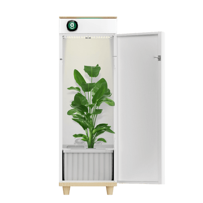 Hey abby Automated Grow Box 420 SE (Samsung LED Edition)