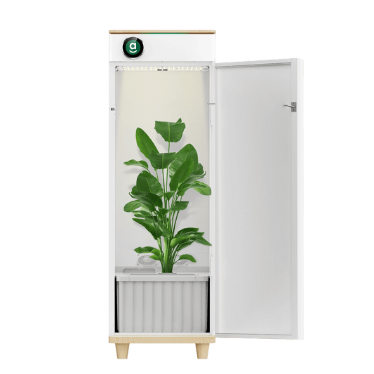 Hey abby Automated Grow Box 420 SE (Samsung LED Edition)