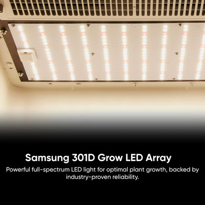 Hey abby Automated Grow Box Soil Edition