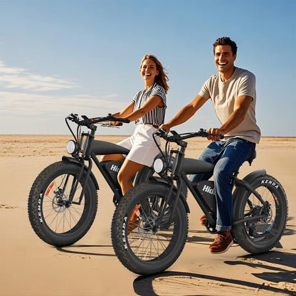 Hidoes B3 Fat Tire All Terrain E Mountain Bike