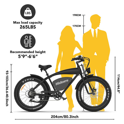 Hidoes B3 Fat Tire All Terrain E Mountain Bike