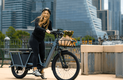 Velotric Packer 1 Ebike