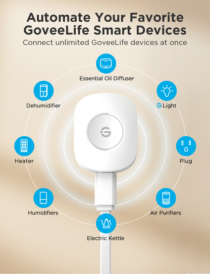 GoveeLife Smart Button Pressure Sensor