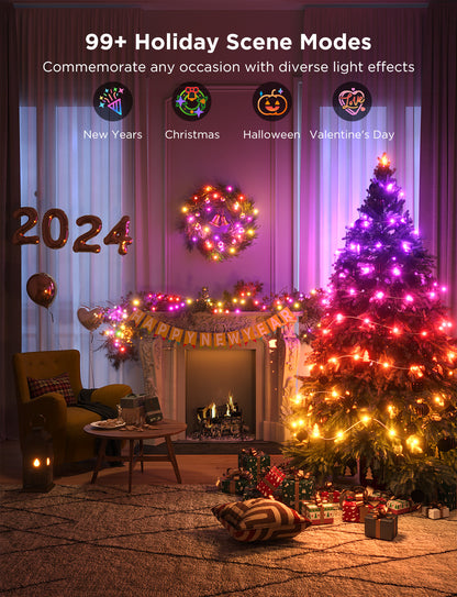 Govee Christmas String Lights